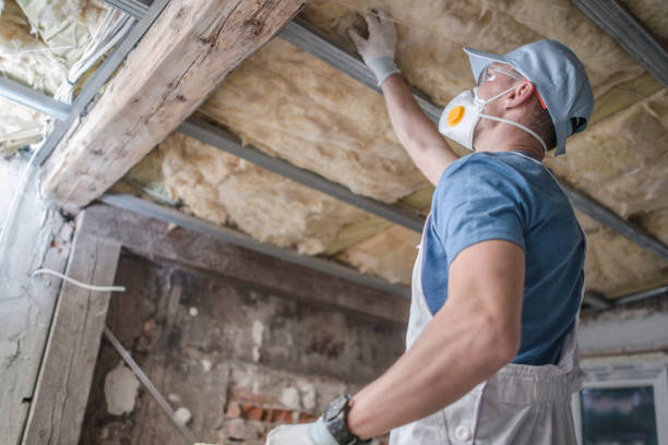 Professional Insulation Contractor in Swisher, IA