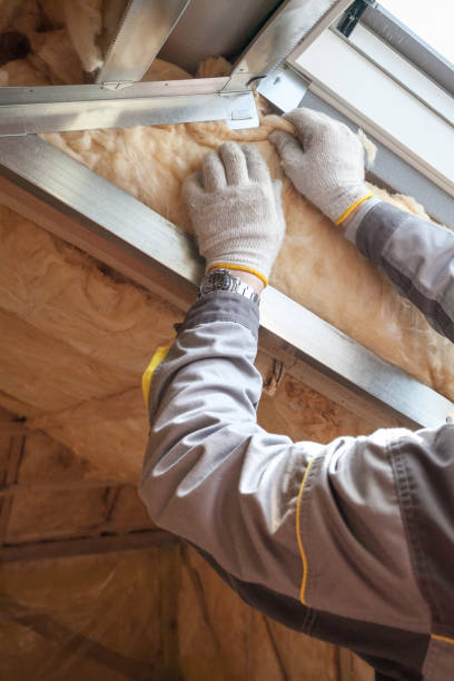 Best Home Insulation Services  in Swisher, IA