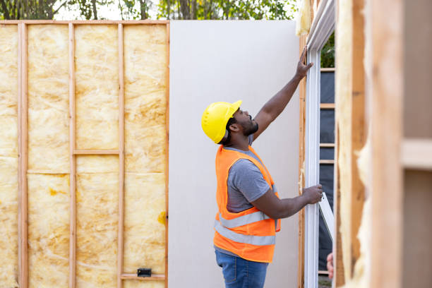 Best Insulation Replacement Services  in Swisher, IA