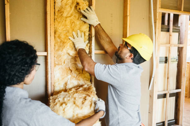 Best Insulation Removal  in Swisher, IA