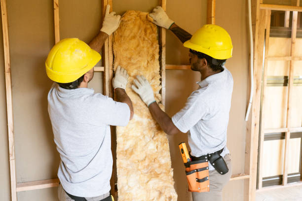 Best Cellulose Insulation  in Swisher, IA