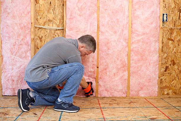 Insulation Replacement Services in Swisher, IA