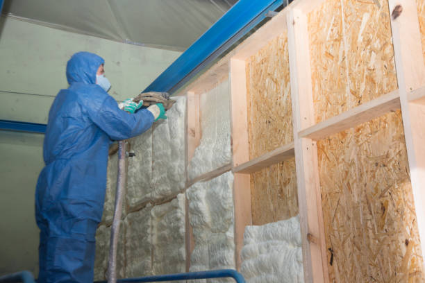 Best Cellulose Insulation  in Swisher, IA