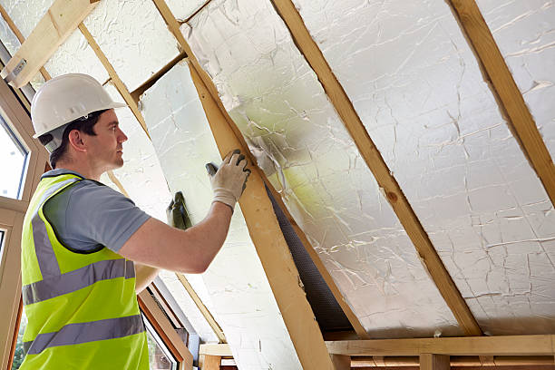 Best Spray Foam Insulation  in Swisher, IA