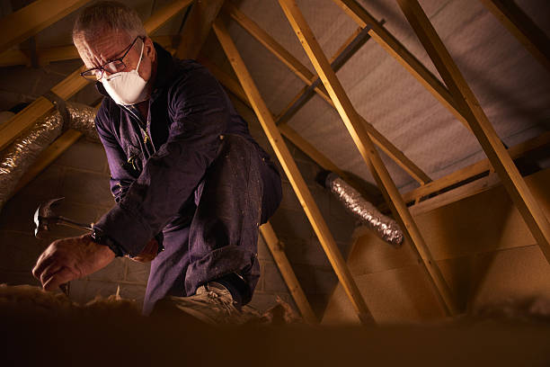 Best Attic Insulation Installation  in Swisher, IA